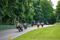cadwell-no-limits-trackday;cadwell-park;cadwell-park-photographs;cadwell-trackday-photographs;enduro-digital-images;event-digital-images;eventdigitalimages;no-limits-trackdays;peter-wileman-photography;racing-digital-images;trackday-digital-images;trackday-photos